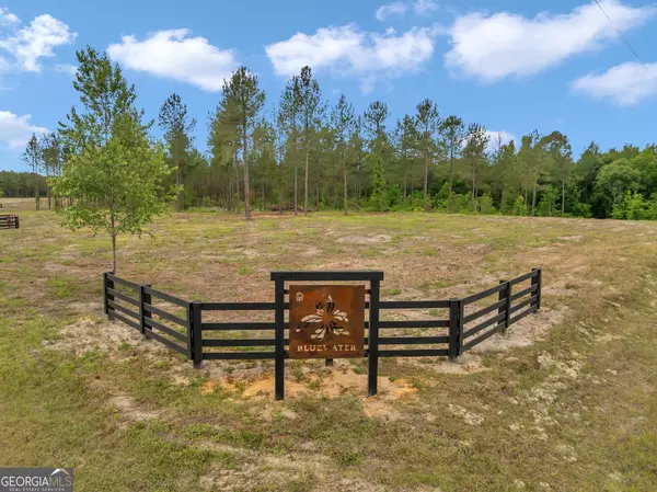 Dexter, GA 31019,0 Dewey Thomas RD #LOT 12