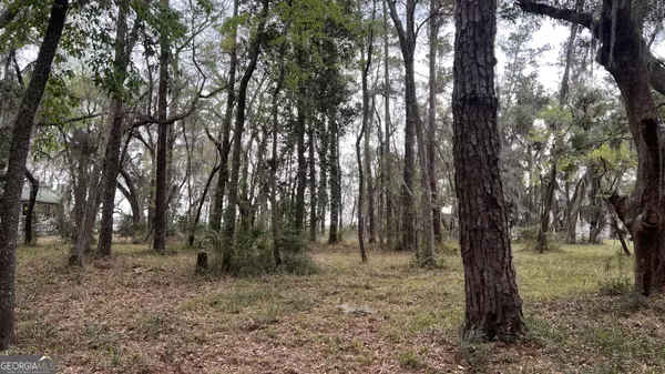 Darien, GA 31305,LOT 28 E Black Island RD