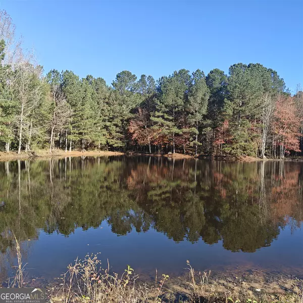 461 Mcdonough RD, Hampton, GA 30228
