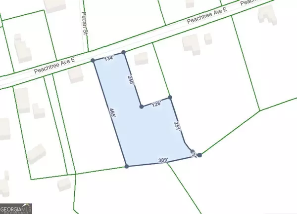1249 E Peachtree AVE, Union Point, GA 30669