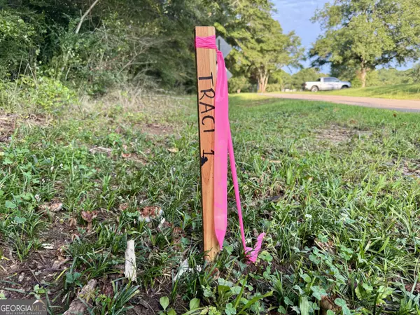 Pine Mountain, GA 31822,0 Harris ST
