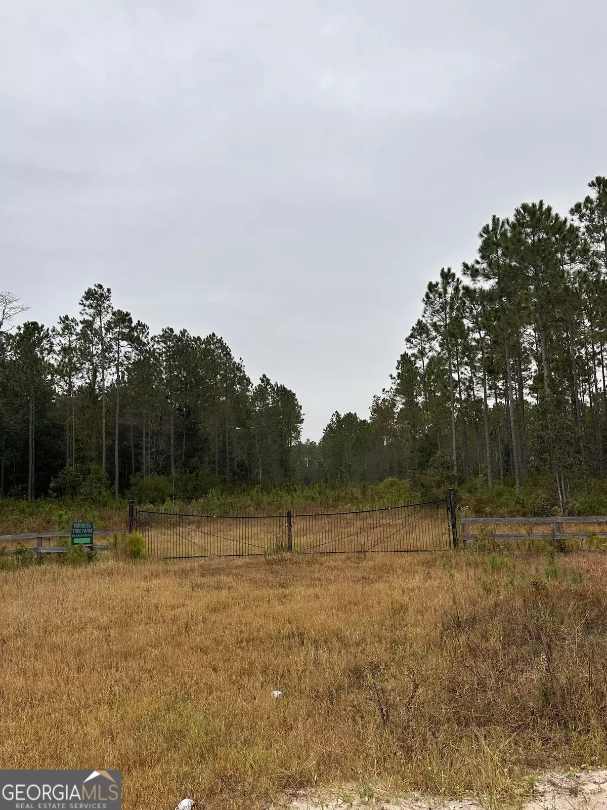 St. George, GA 31562,1001 Barber Branch RD