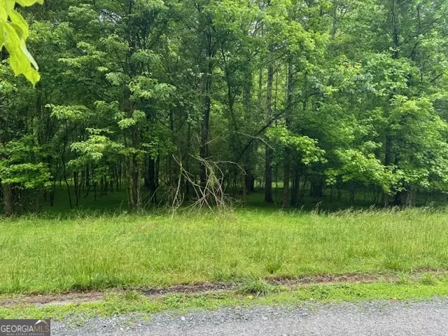 Ellijay, GA 30536,LT 17 Misty Valley LN