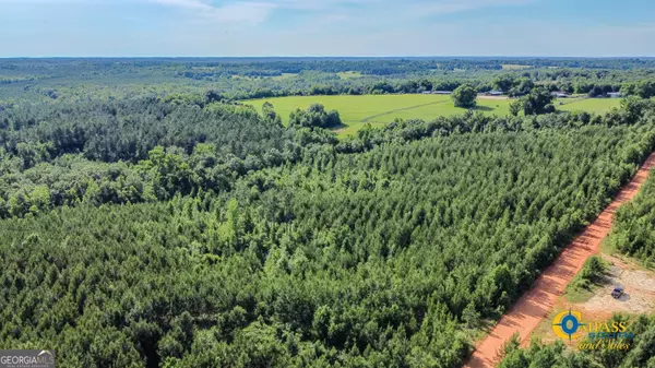 Buena Vista, GA 31803,0 Welch RD