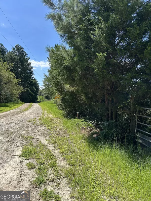 Bowman, GA 30624,0 LOT A Jess Guest RD
