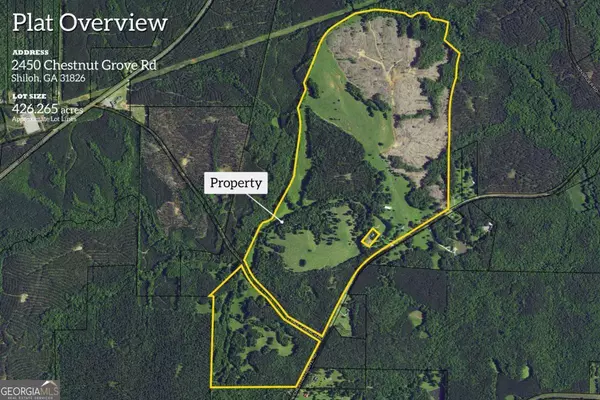 Shiloh, GA 31826,2450 Chestnut Grove RD