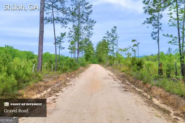 Shiloh, GA 31826,2450 Chestnut Grove RD