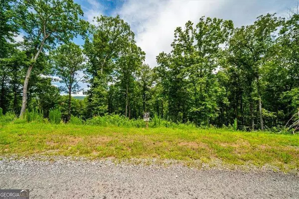 Morganton, GA 30560,0 Ridge DR #LOT #27