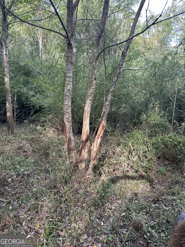 Madison, GA 30650,0 seven islands RD