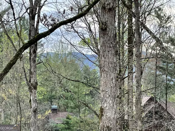 Ellijay, GA 30540,56 Hunterhill WAY