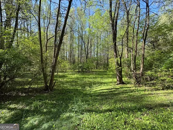 Jasper, GA 30143,6.96AC Highway 515 S