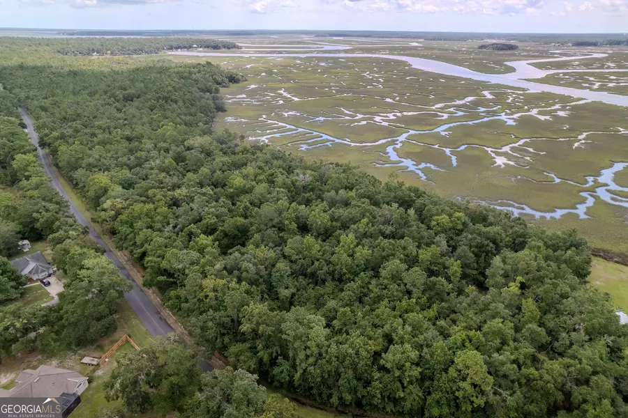 0 Sheffield Island RD #4, Woodbine, GA 31569