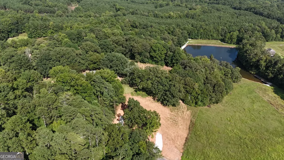 Dallas, GA 30132,LOT 1 Snote Jones RD