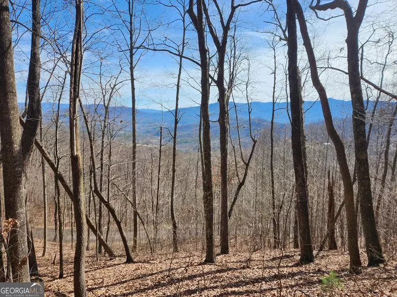 #28 The Overlook at Young Harris, Young Harris, GA 30582