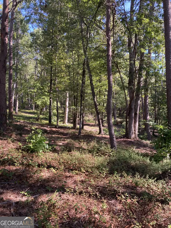 Clarkesville, GA 30523,0  TRACT 2 Annandale Drive RD