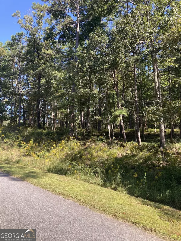 Clarkesville, GA 30523,0  TRACT 2 Annandale Drive RD