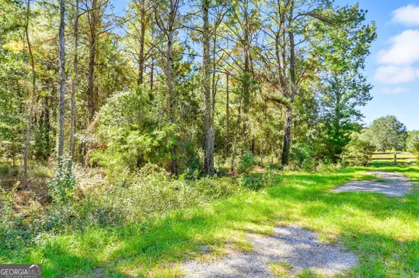 Waverly, GA 31565,0 Waverly Farms RD