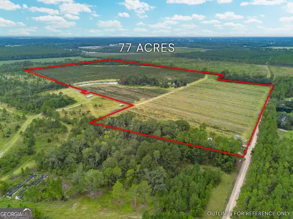 Alma, GA 31510,0 Jasmine LN
