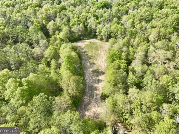 110 Head RD, Andersonville, GA 31711