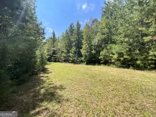 Greensboro, GA 30642,0 Cunningham RD
