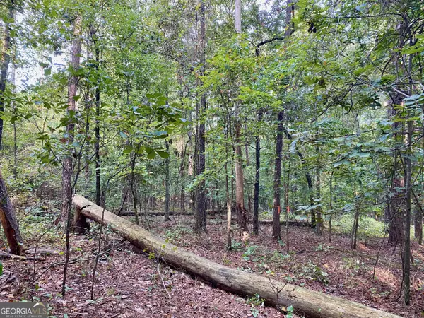 Byron, GA 31008,0 W Seminole DR