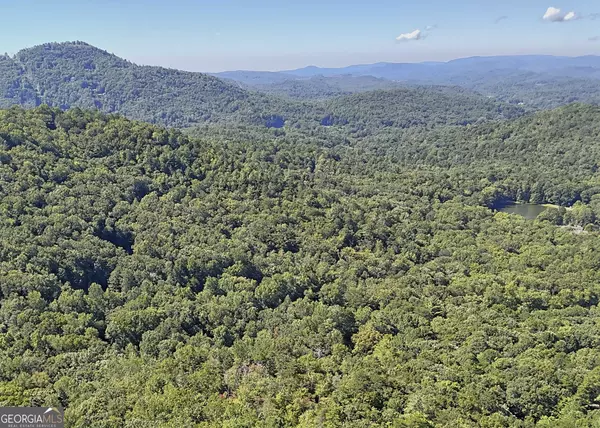 Clayton, GA 30525,0 Falling Creek #LOT 34