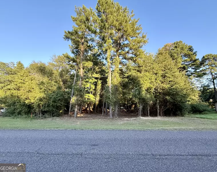 0 Friendship RD, Sylvania, GA 30467