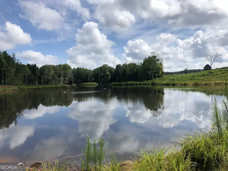 0 Lower Apalachee RD, Madison, GA 30650