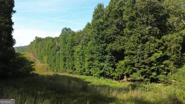 Dahlonega, GA 30533,0 Calhoun RD