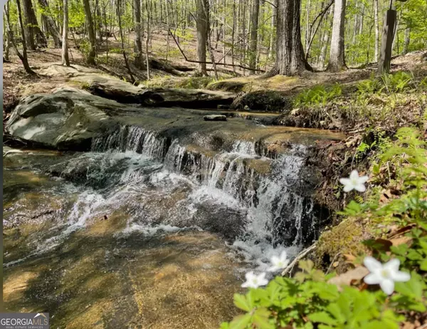 Big Canoe, GA 30143,98 Robins Nest