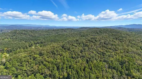 Summerville, GA 30747,0 Maddox Lake RD