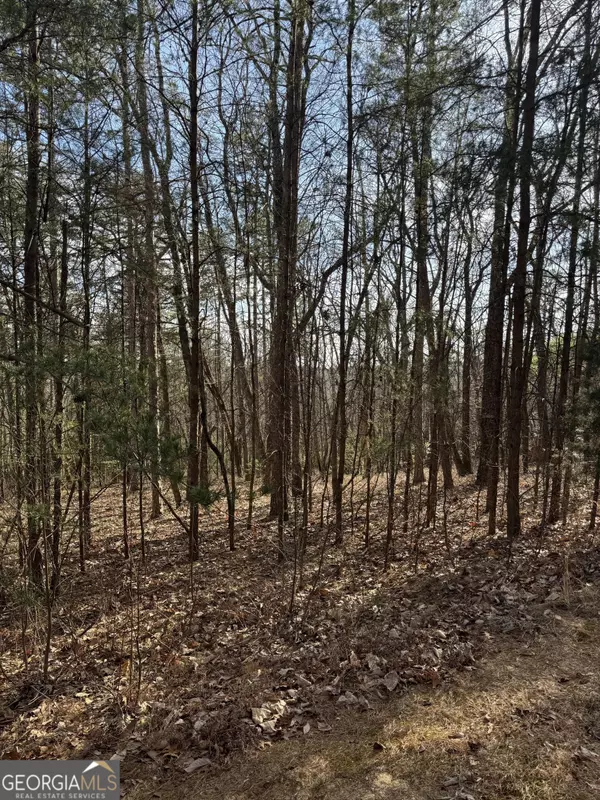 Clarkesville, GA 30523,0 Scarlett Pippin LN ##1604