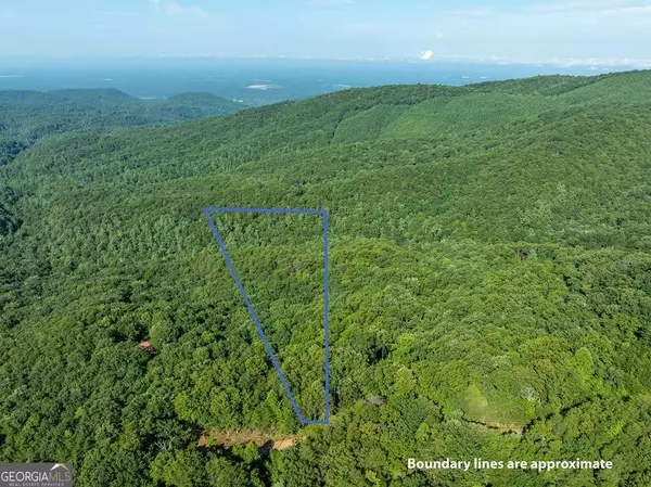 Chatsworth, GA 30705,LOT 9 Brushy Top DR