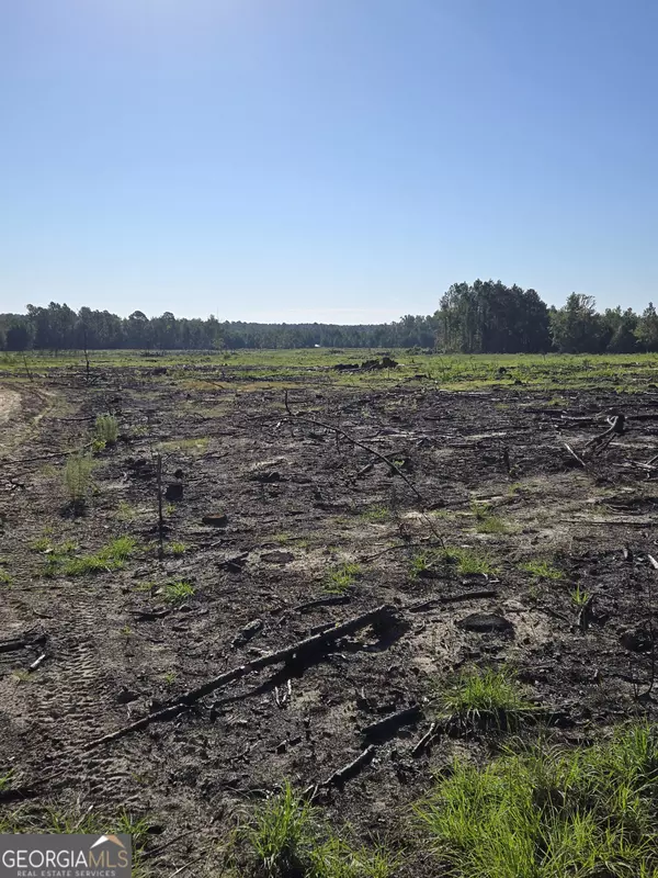 Adrian, GA 31002,0 Alton Lawson RD