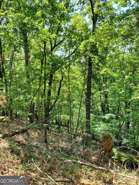 0 Asbury Mill RD, Cleveland, GA 30528