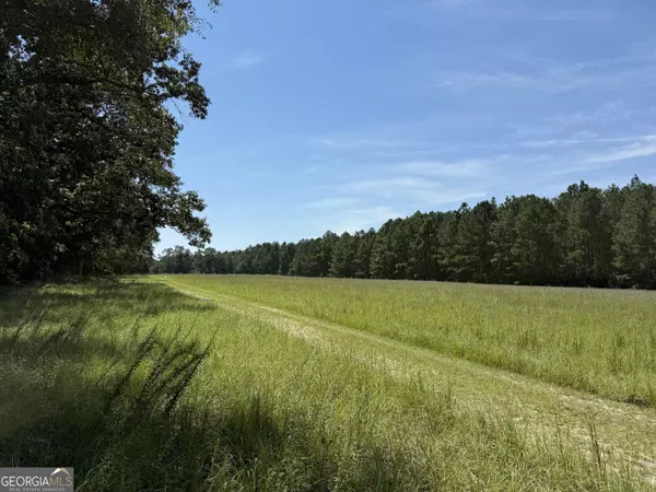 0 Sunbury RD #TRACT 6, Claxton, GA 30417