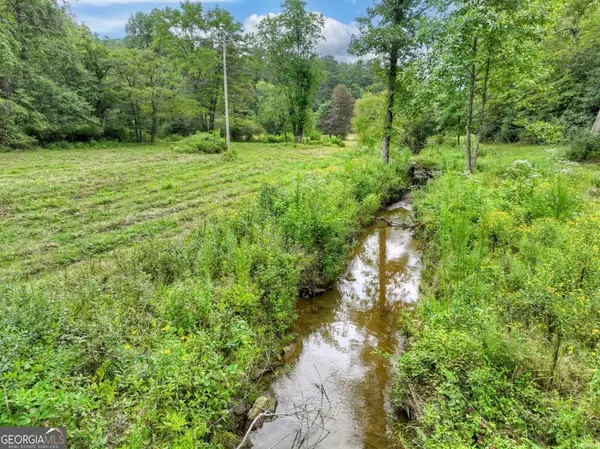 Blue Ridge, GA 30513,34.56 AC Weaver Creek RD