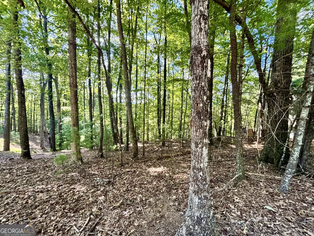 Ellijay, GA 30540,0.55 ACRES Pine Ridge RD