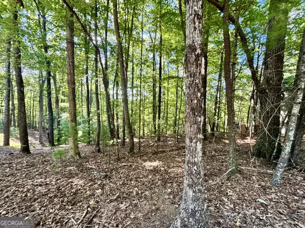 0.55 ACRES Pine Ridge RD, Ellijay, GA 30540