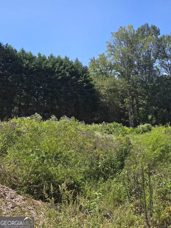 Cleveland, GA 30528,0 Highway 115 E