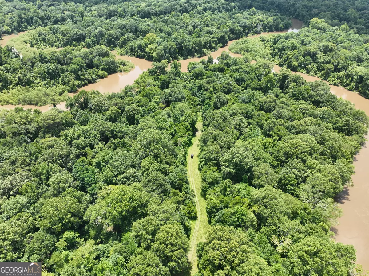 Hawkinsville, GA 31036,2346 Lower River RD