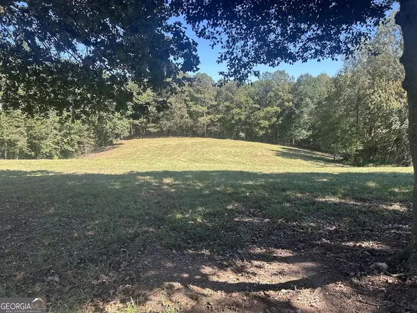 Bowdon, GA 30108,0 Blackjack Mountain RD #(TRACT 2--12.63 ACRES)