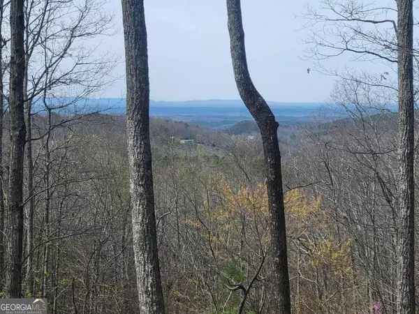 Ranger, GA 30734,1005 Mayfield LN NE