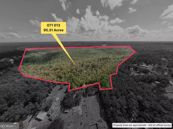Kingsland, GA 31548,V/L 2 Freebird Estates Clarks Bluff RD