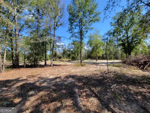 Twin City, GA 30471,22 Meadowlark LN
