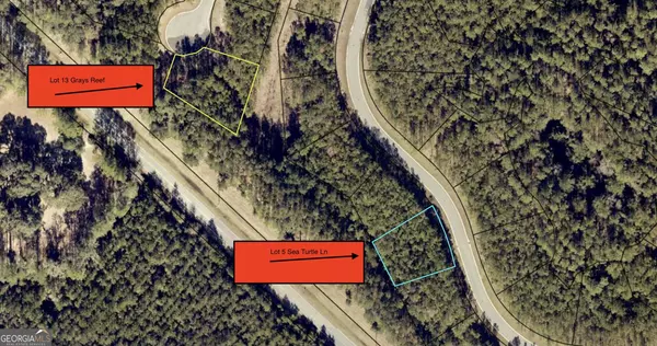 Waverly, GA 31565,LOT 5 Sea Turtle LN