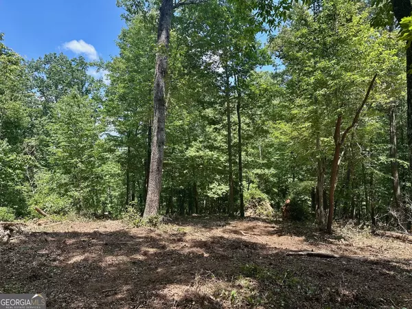 Murrayville, GA 30564,6.2 Mincey Acres DR