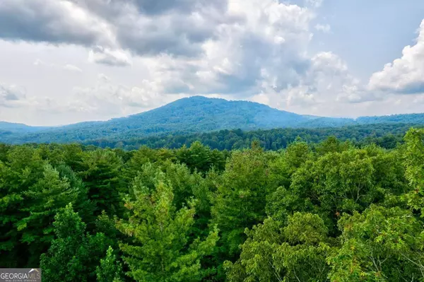 Mineral Bluff, GA 30559,21 Ac Bear Hollow DR