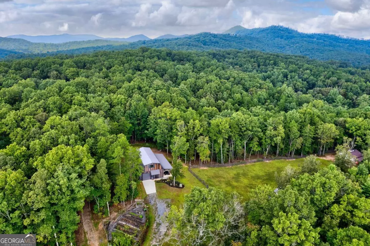 Mineral Bluff, GA 30559,21 Ac Bear Hollow DR