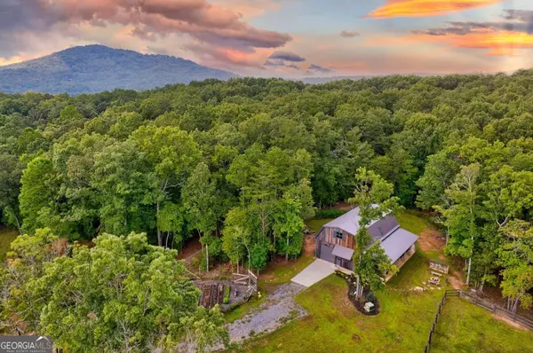 21 Ac Bear Hollow DR, Mineral Bluff, GA 30559